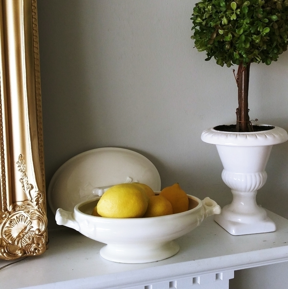 Gail dish‎ with lid shabby chic dinner farmhouse